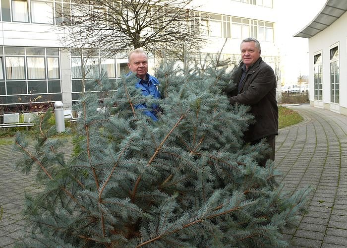 Gute Geister (Foto: SHK)