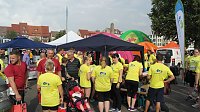 Das SHK beim Erfurter Unternehmenslauf 2016 (SHK)