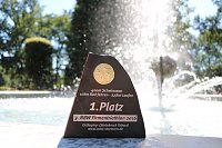 Siegerpokal (Anne Hagedorn / SHK)