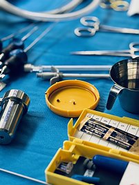 Entfernte Nierensteine (Foto: SHK)