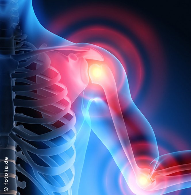 &Ouml;ffentliche Vortragsreihe (Foto: wirsinds/SHK)